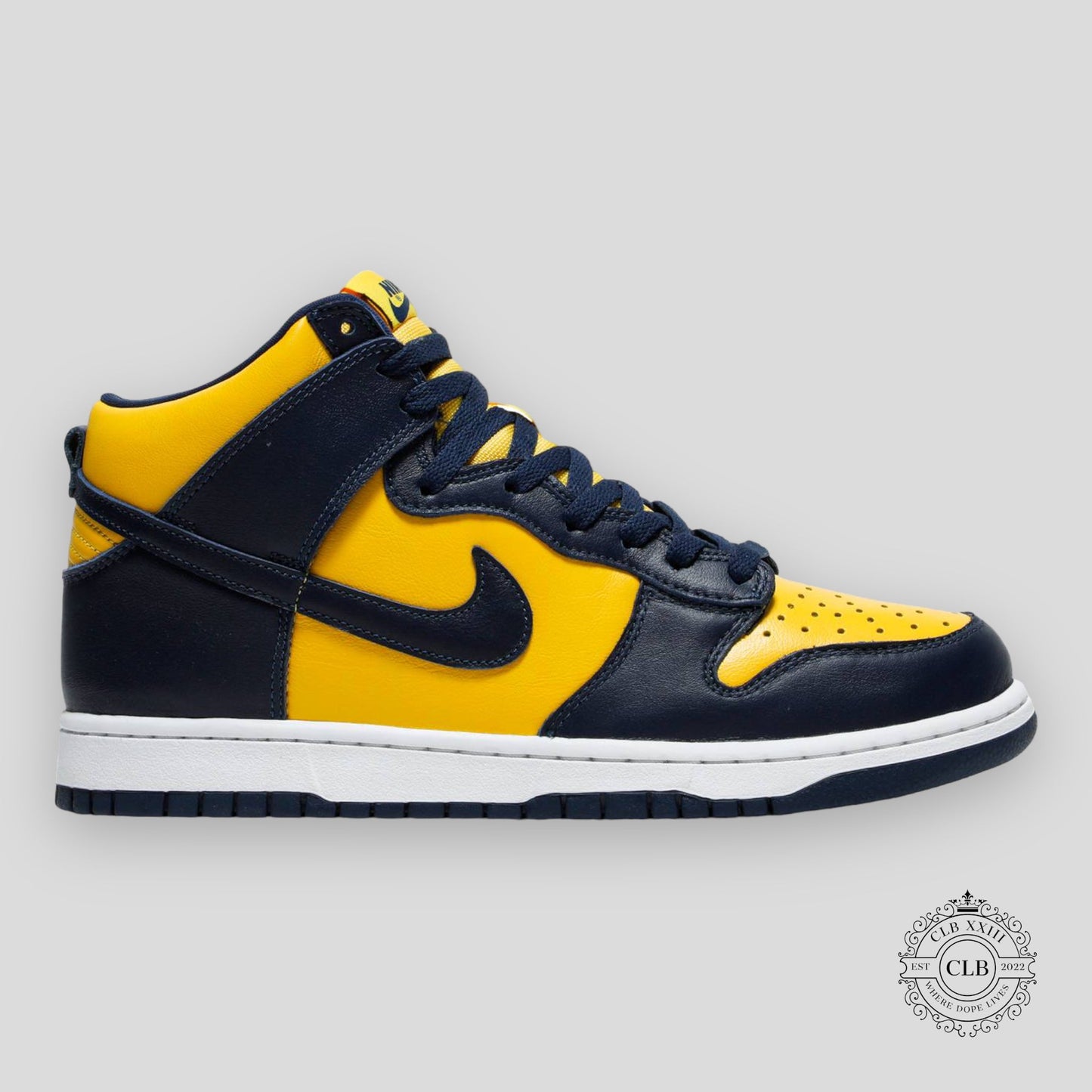 NIKE DUNK HIGH "MICHIGAN"