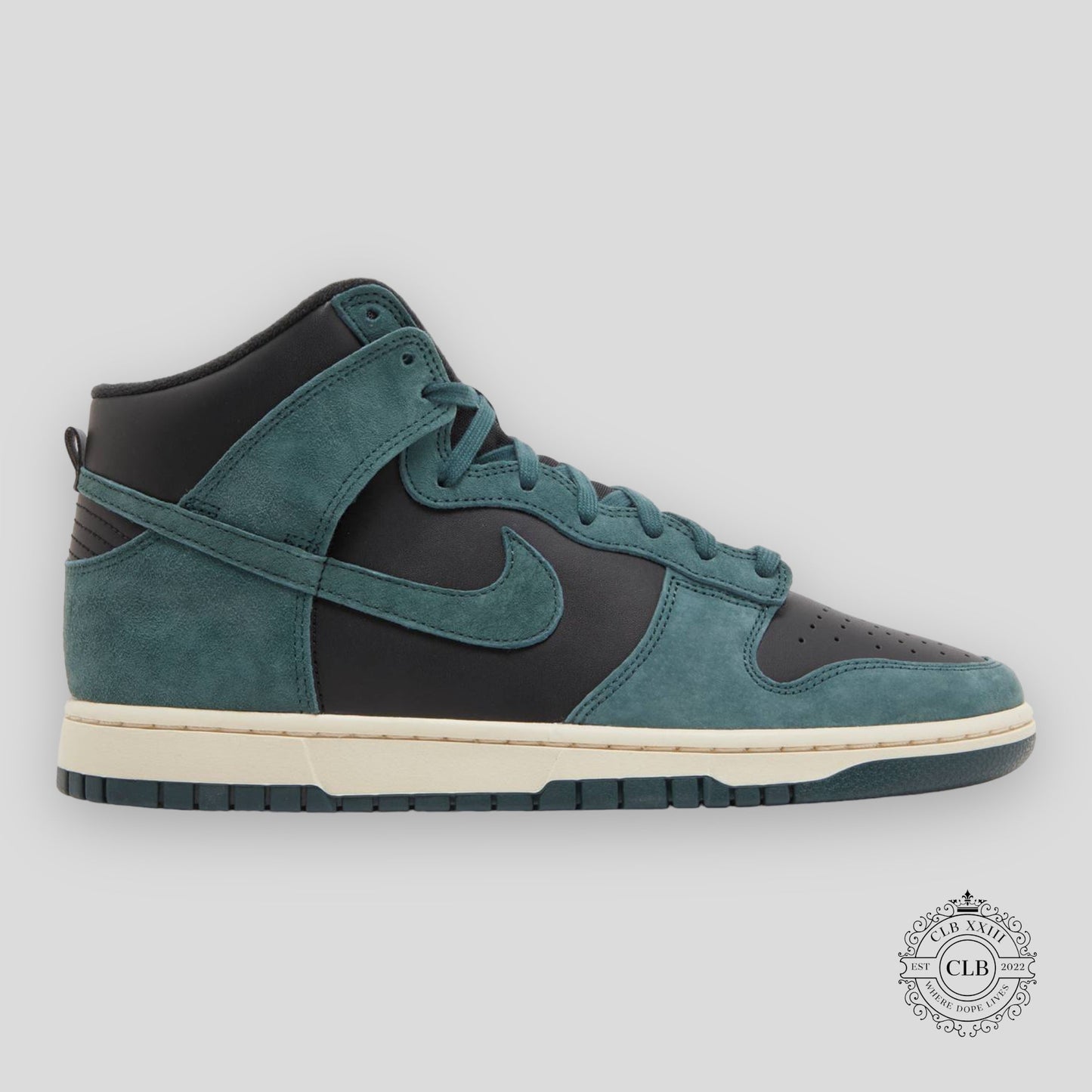 NIKE DUNK HIGH "FADED SPRUCE"