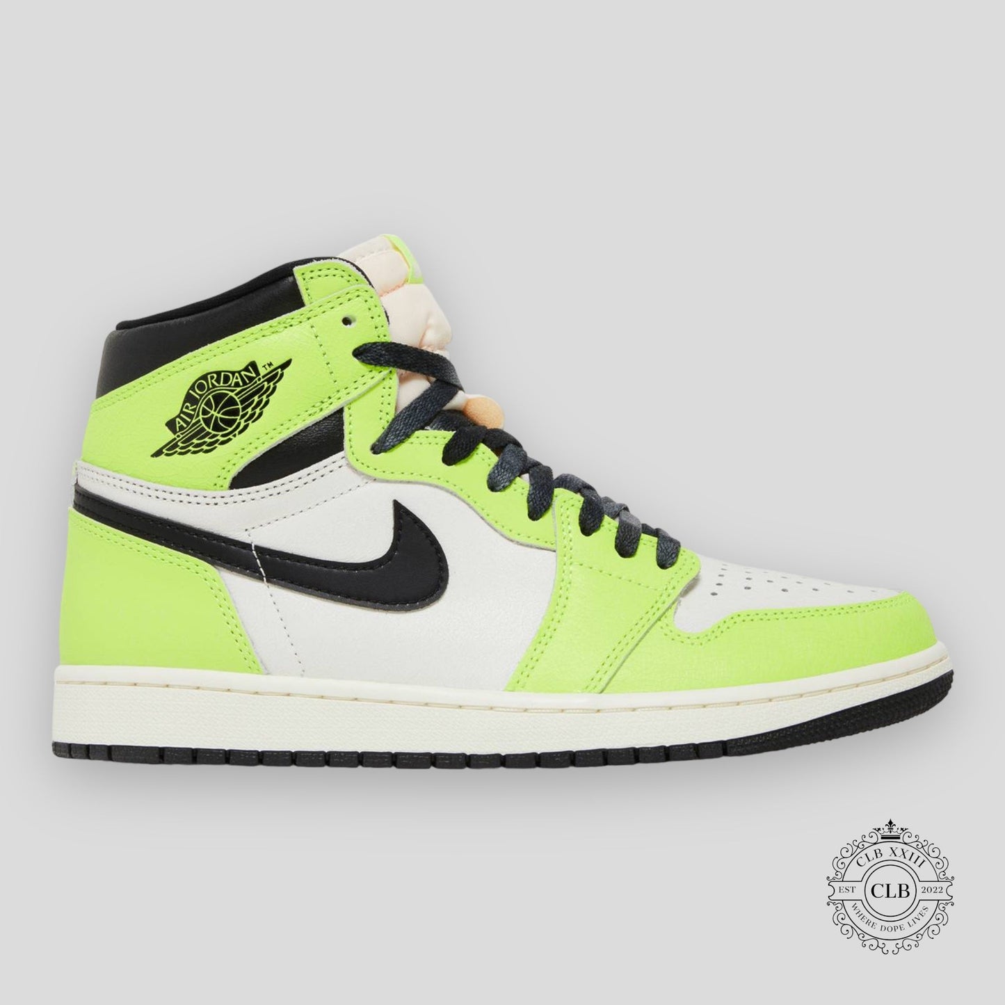 AIR JORDAN 1 RETRO HIGH OG "VISIONAIRE"