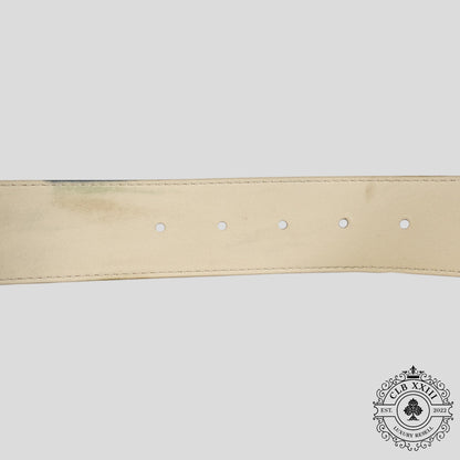Louis Vuitton Damier Print Belt