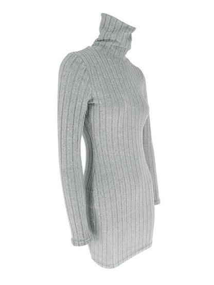 Turtleneck Ribbed Bodycon Mini Dress