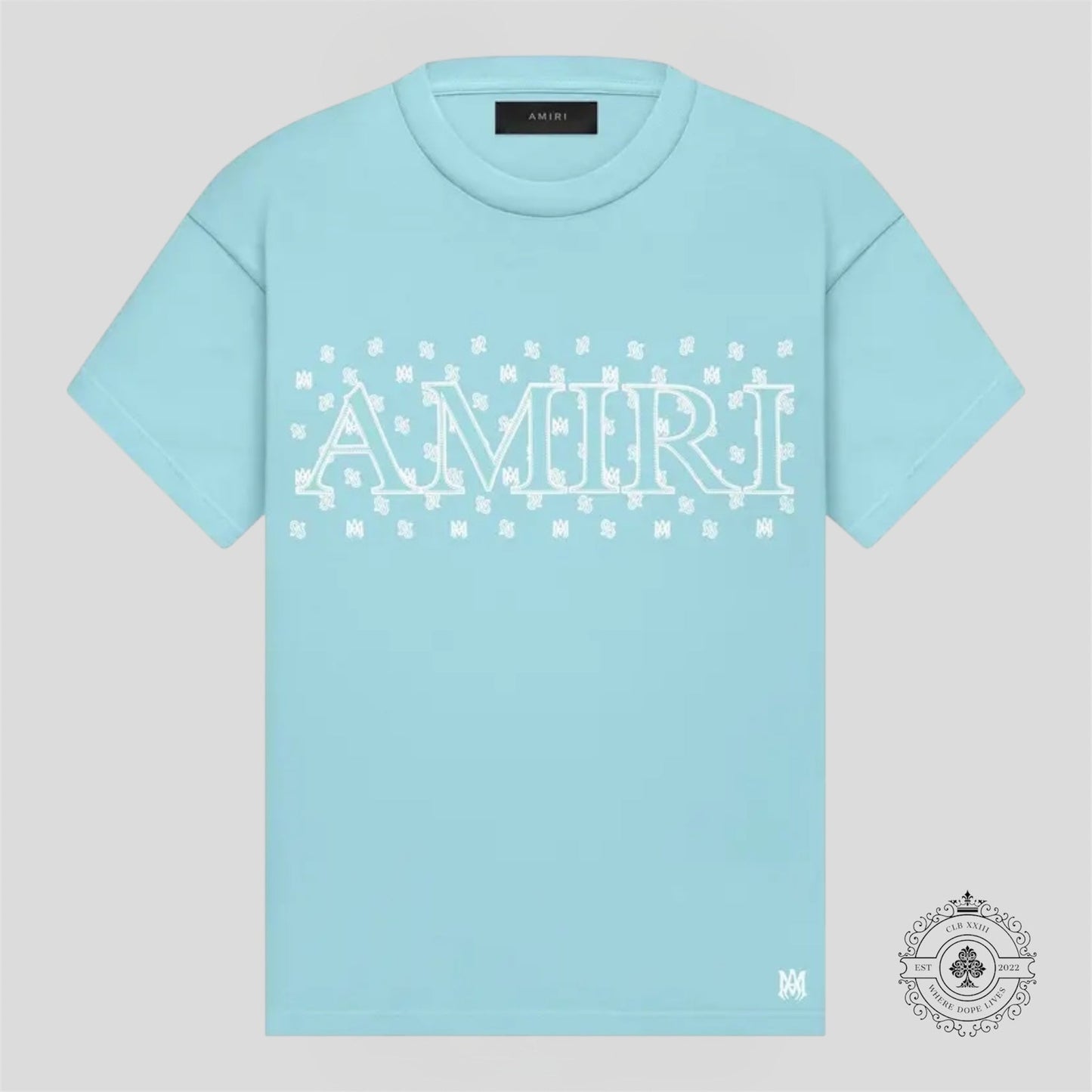 Amiri Paisley Tee in Aqua