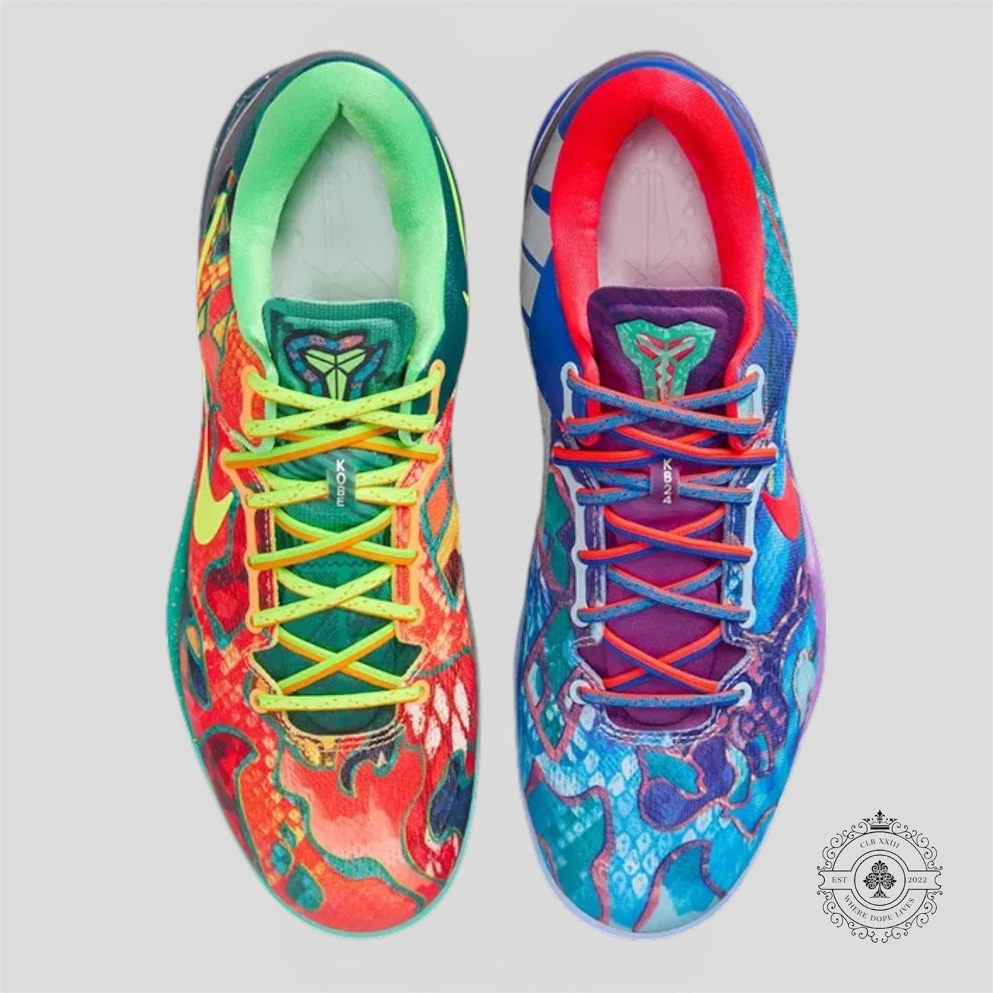 Nike Kobe 8 Protro What The (2025)