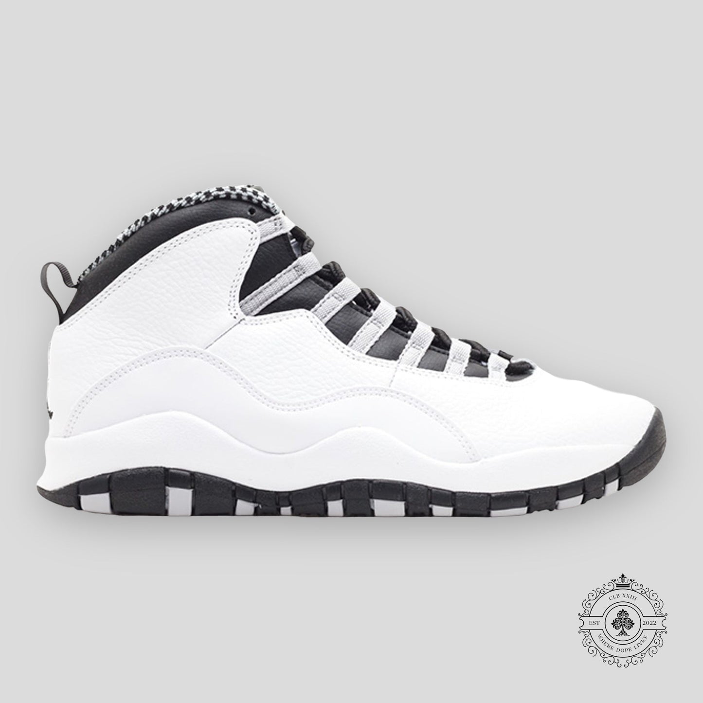 Air Jordan 10 Retro "Steel" (2013)