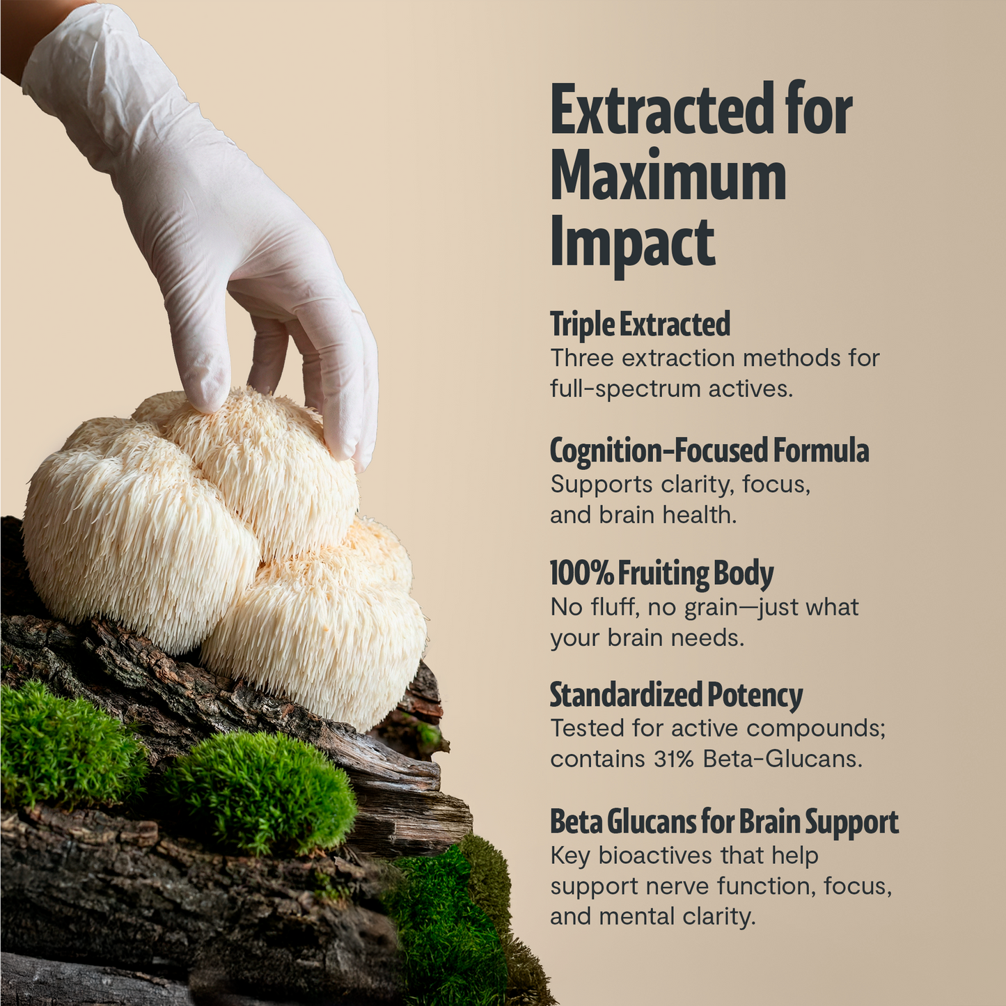 Organic Lion’s Mane Capsules