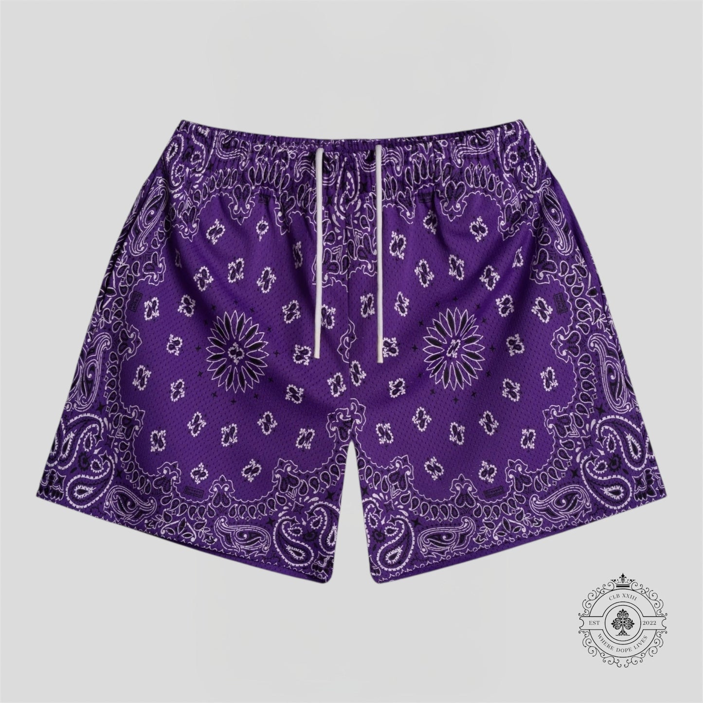 Bravest Studios Paisley Shorts in Purple
