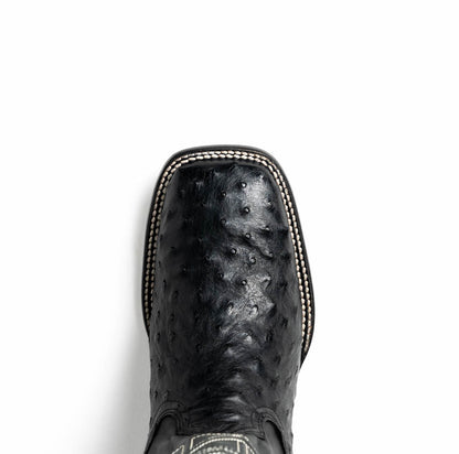 Alabama Black