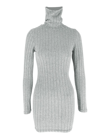 Turtleneck Ribbed Bodycon Mini Dress