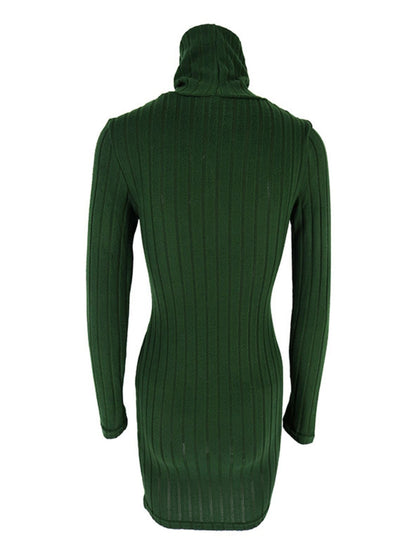 Turtleneck Ribbed Bodycon Mini Dress