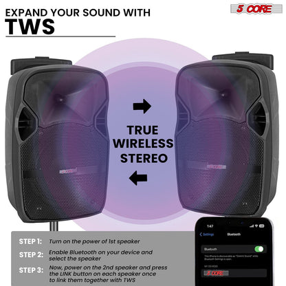 5 Core Party Speaker Bluetooth 250W Big Monster Powered Rechargeable Outdoor PA DJ System w Disco Lights 2 Wireless Karaoke Mics Portable Rolling Speakers w Handle Black - ACTIVE HOME 8 2-MIC