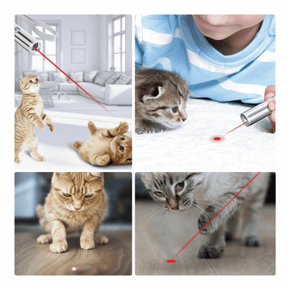 3 in1 1mw USB Rechargeable Pet Toy Pen Flashlight Red laser Beam UV Light 3-Modes Lamp