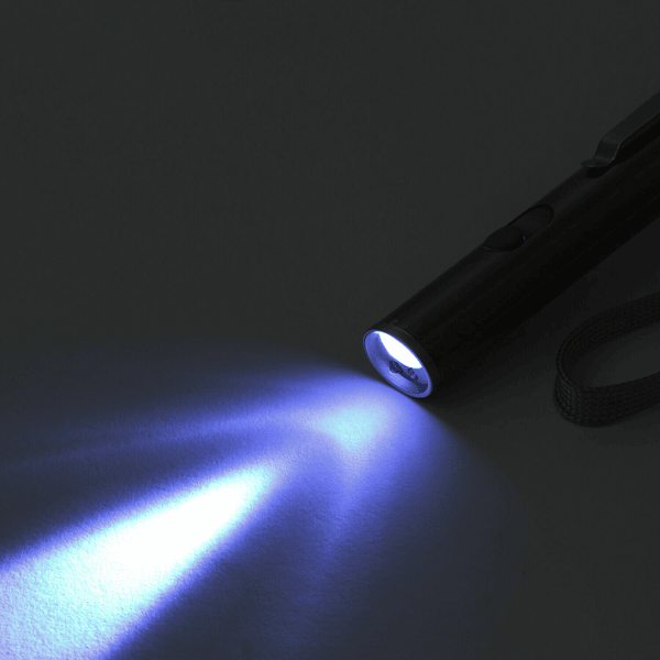 3 in1 1mw USB Rechargeable Pet Toy Pen Flashlight Red laser Beam UV Light 3-Modes Lamp