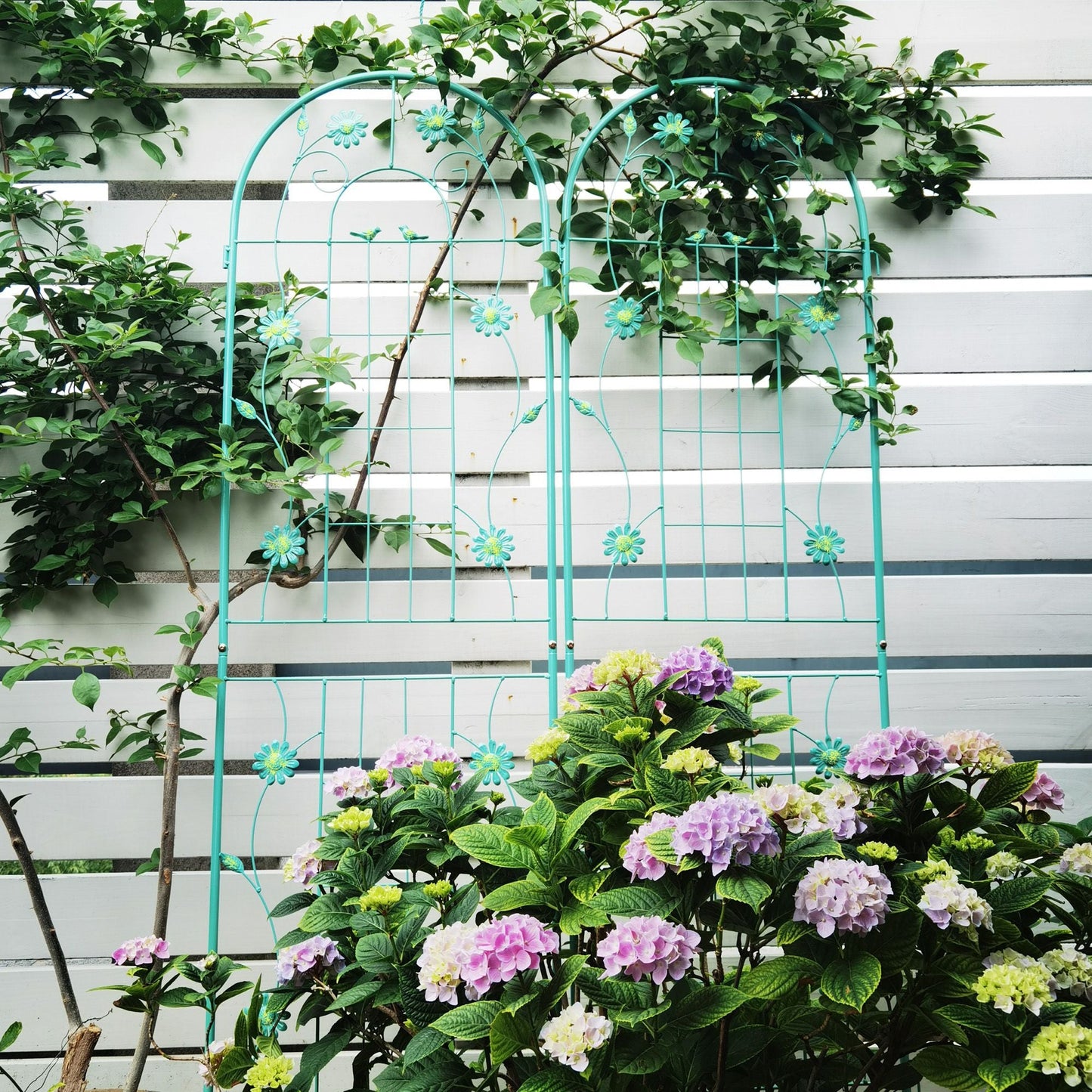 2 Pack 71" x 19.7" Metal Garden Trellis Rustproof Trellis for Climbing Plants Outdoor Flower Support Wrought Iron Ivy Vine Cucumbers Decorative(Green)