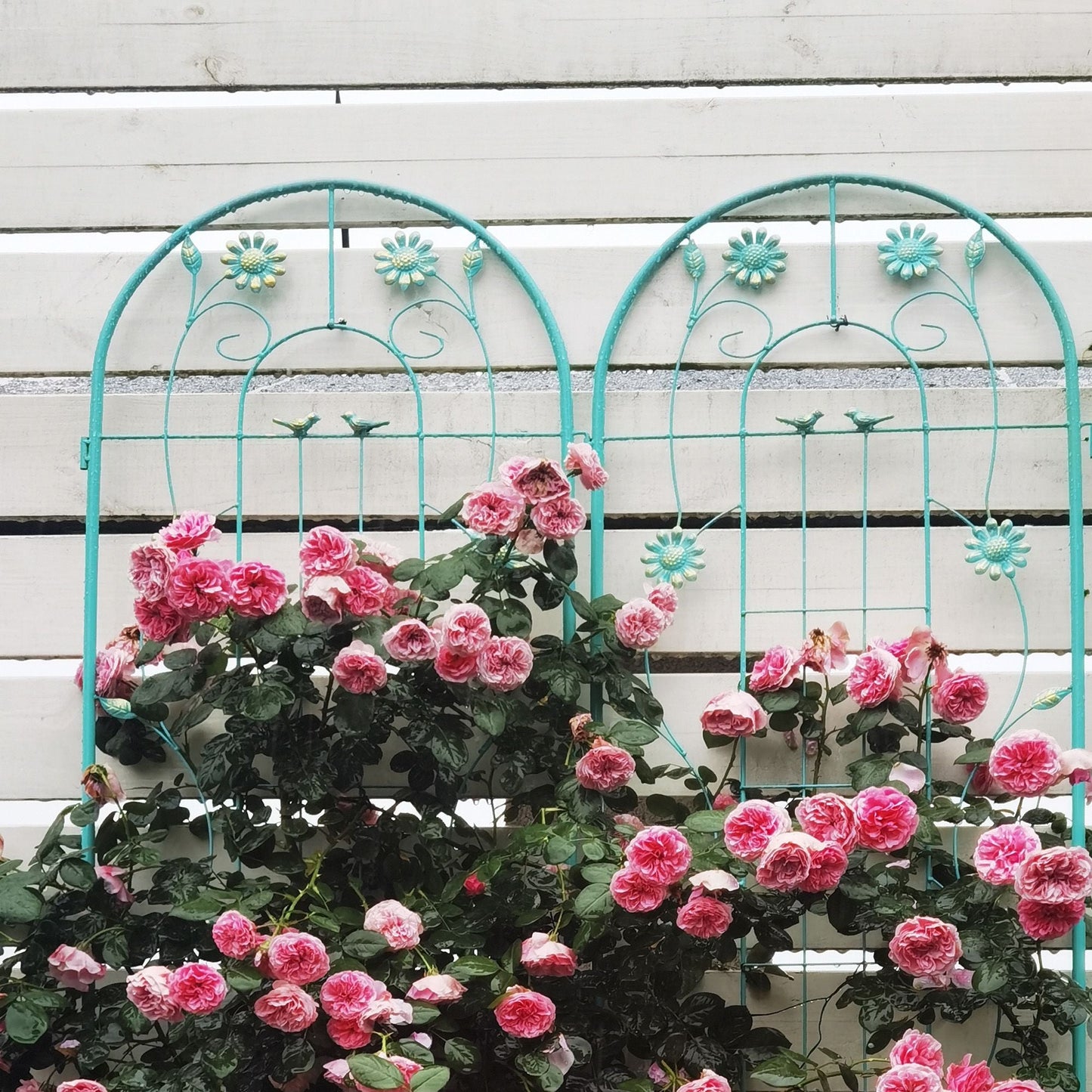 2 Pack 71" x 19.7" Metal Garden Trellis Rustproof Trellis for Climbing Plants Outdoor Flower Support Wrought Iron Ivy Vine Cucumbers Decorative(Green)
