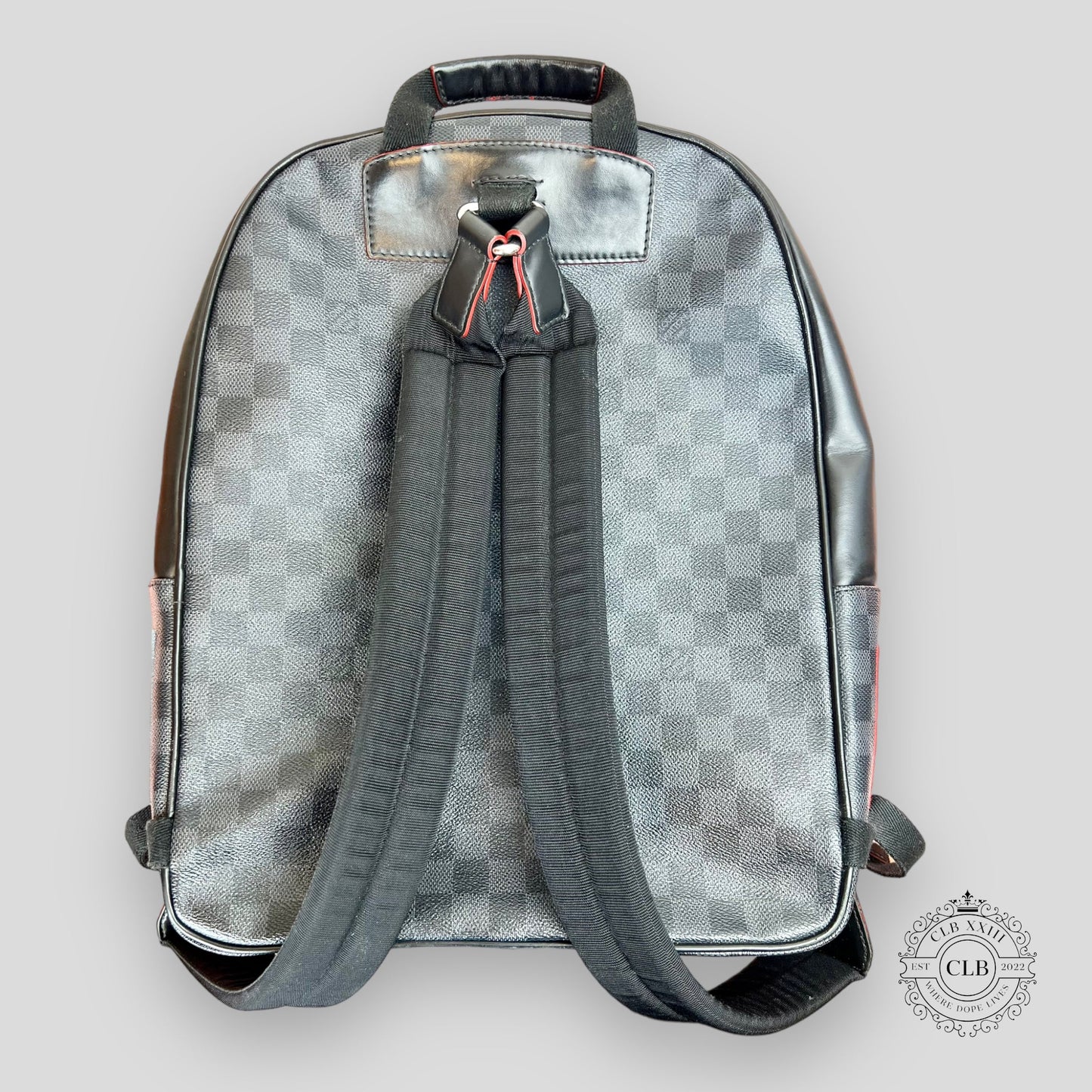 LOUIS VUITTON ALPS BACKPACK