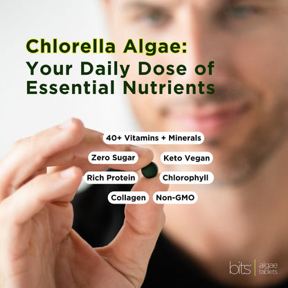 RECOVERYbits® Chlorella | Large Bag