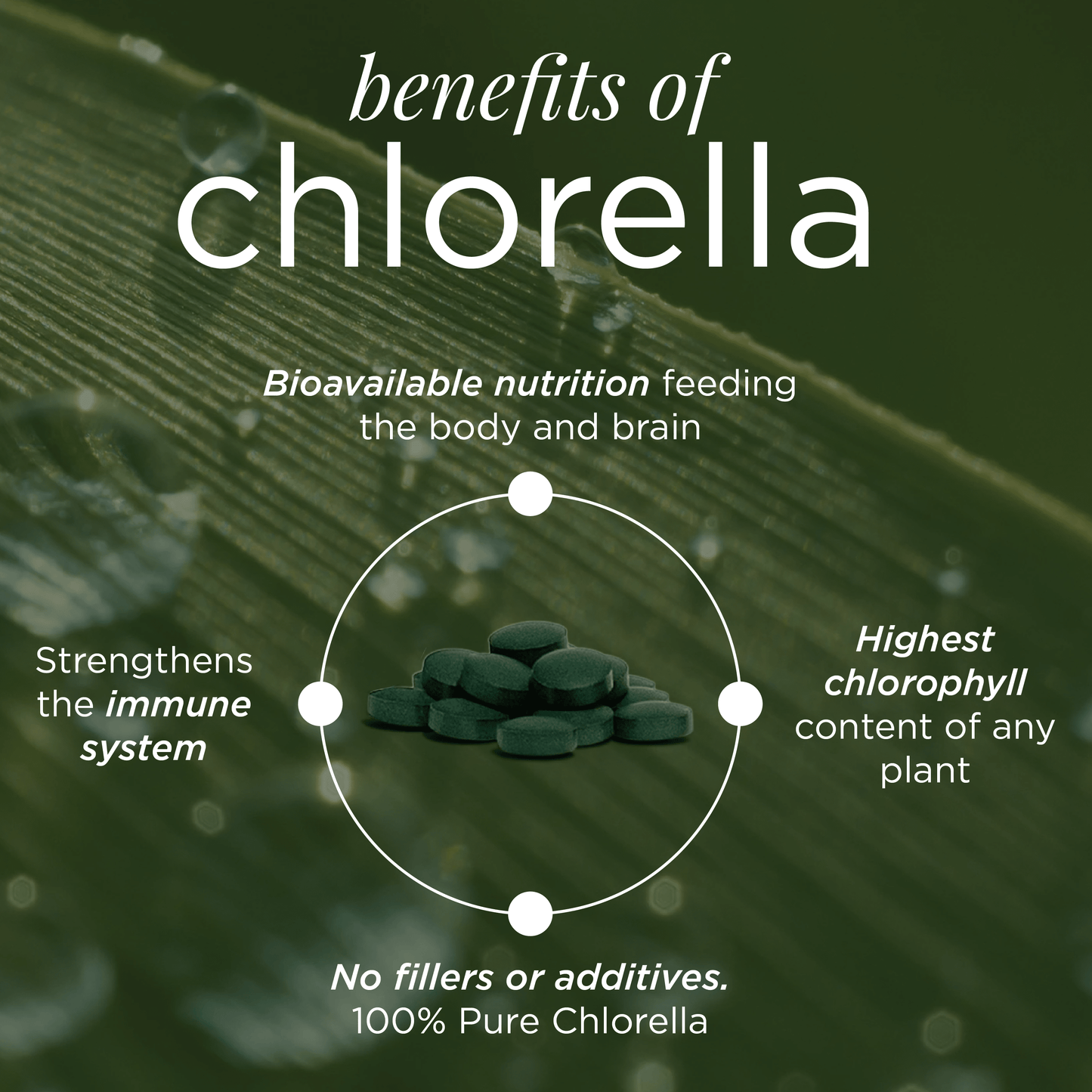 RECOVERYbits® Chlorella | Large Bag
