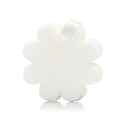 Coconut Verbena | Boxed Flower